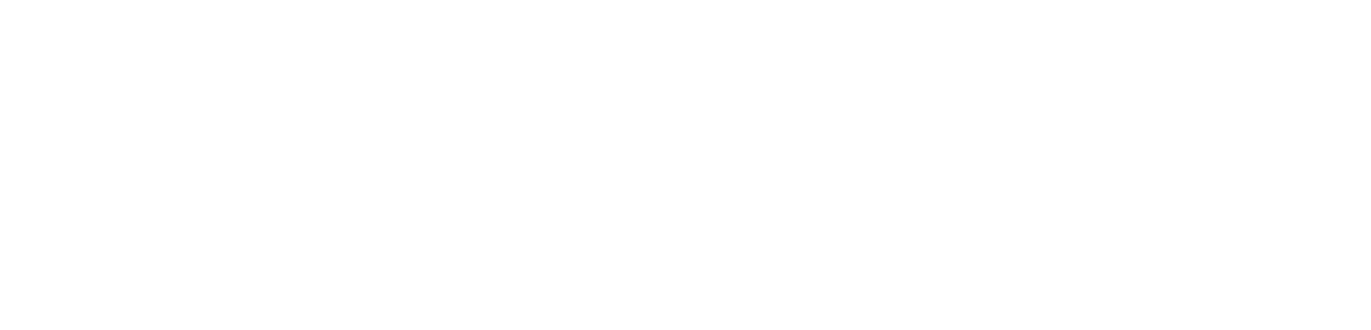 My WordPress Website